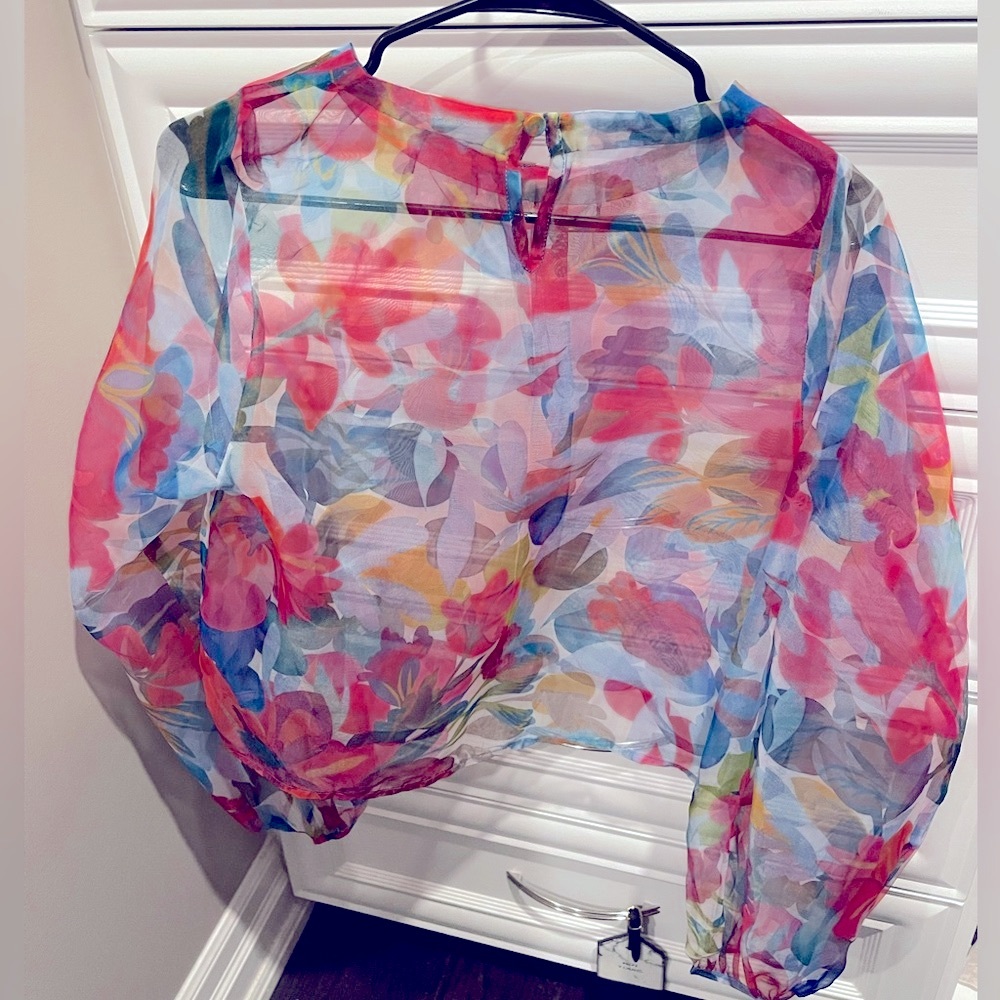 Vibrant Multicolor Sheer Blouse - Picture 2 of 4